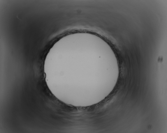 X0000102861494200809081254