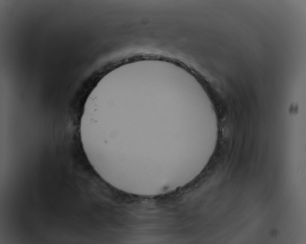 X0000102861495200809081254