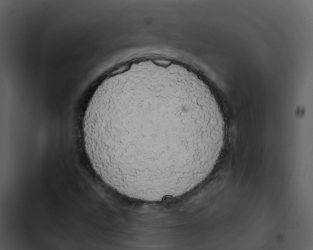 X0000102861496200809081254