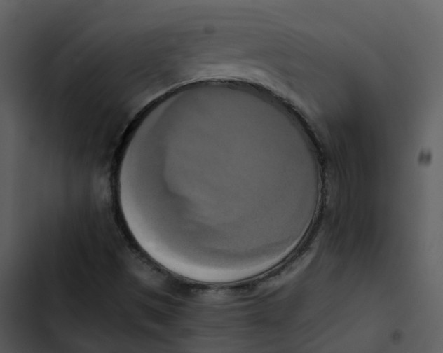 X0000102861497200809081254