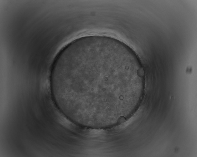 X0000102861498200809081254