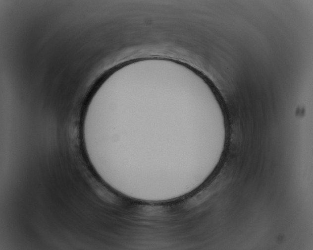 X0000102861499200809081254