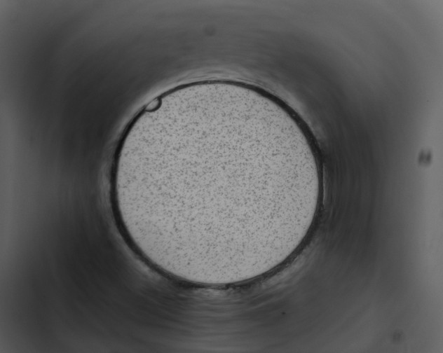 X0000102861500200809081254