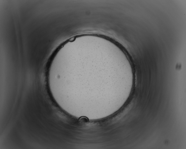 X0000102861501200809081254