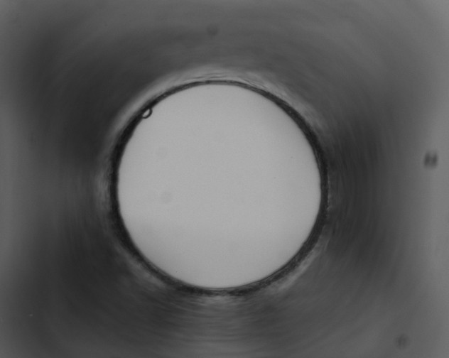 X0000102861502200809081254