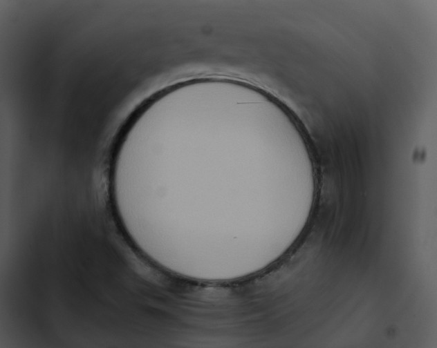 X0000102861503200809081254