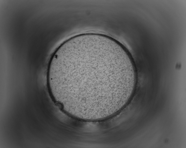 X0000102861504200809081254