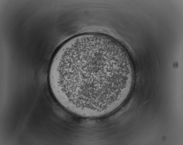 X0000102861505200809081254