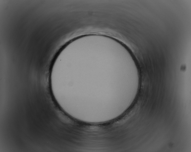 X0000102861507200809081254