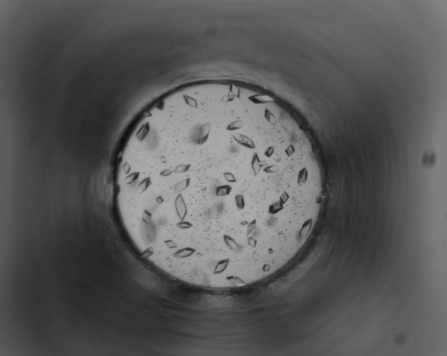 X0000102861509200809081254