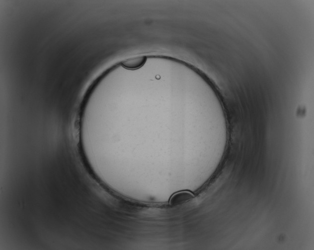 X0000102861510200809081254