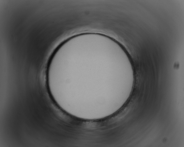 X0000102861511200809081254