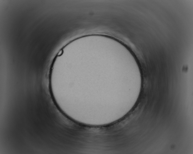 X0000102861512200809081254