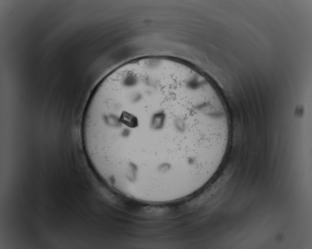 X0000102861513200809081255