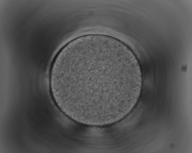 X0000102861514200809081255