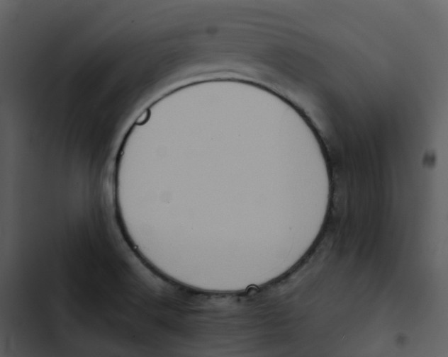 X0000102861516200809081255