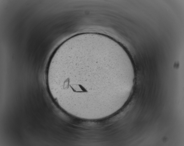 X0000102861517200809081255