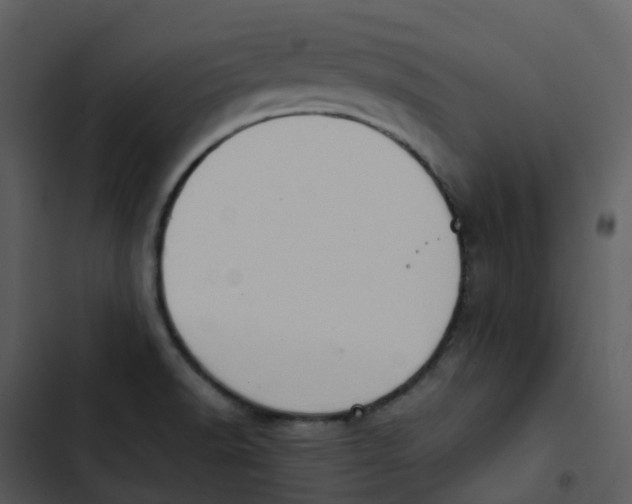 X0000102861518200809081255