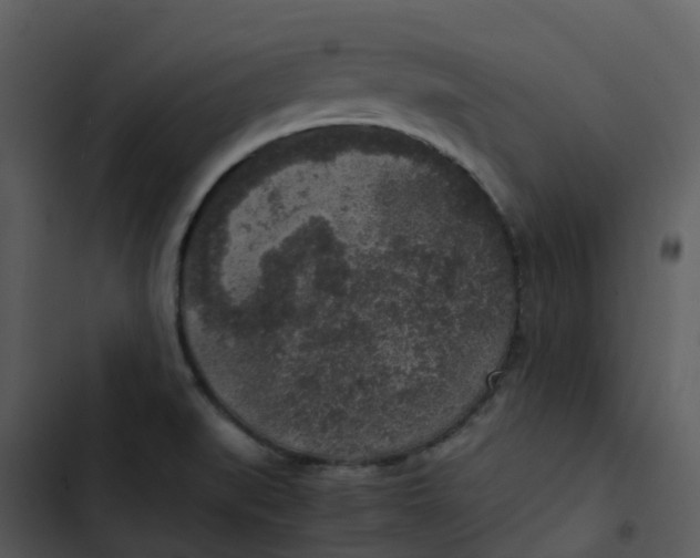 X0000102861519200809081255