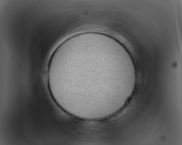 X0000102861520200809081255