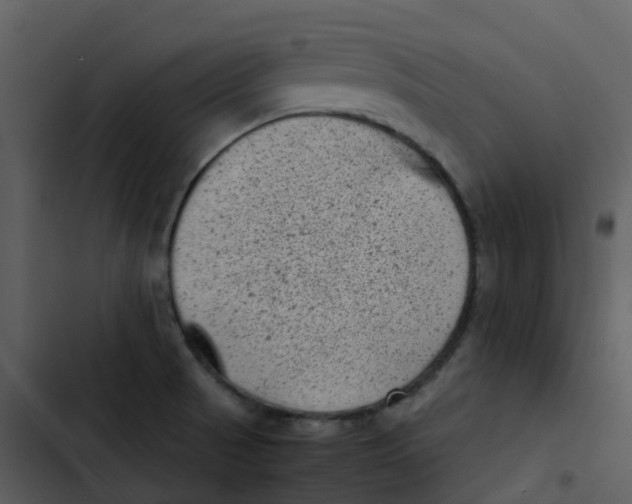 X0000102861521200809081255