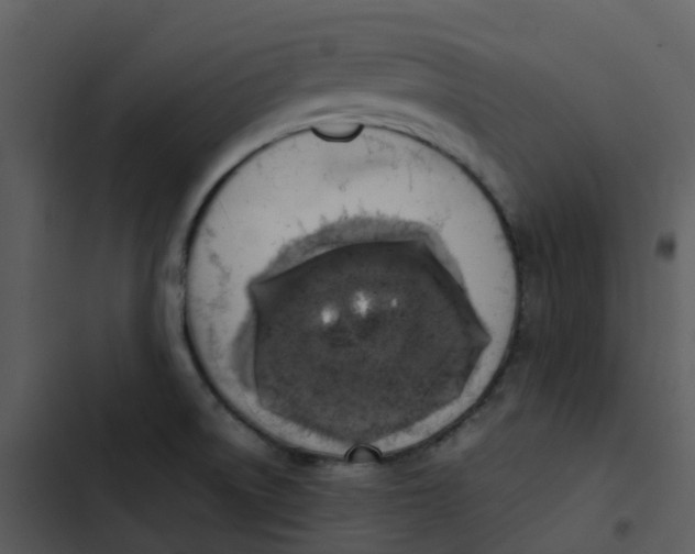 X0000102861522200809081255