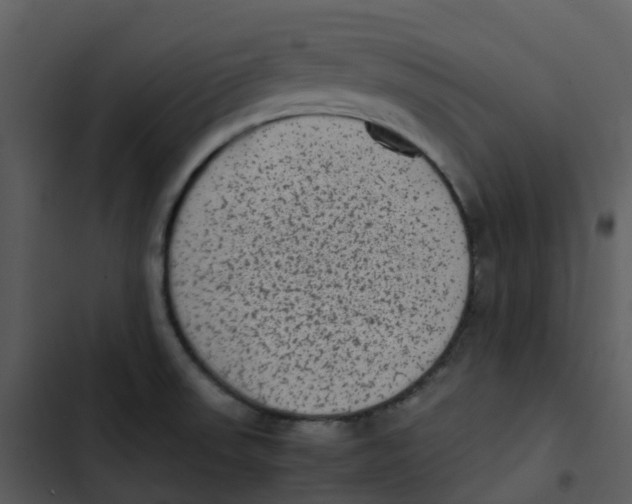 X0000102861523200809081255