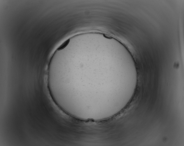 X0000102861524200809081255