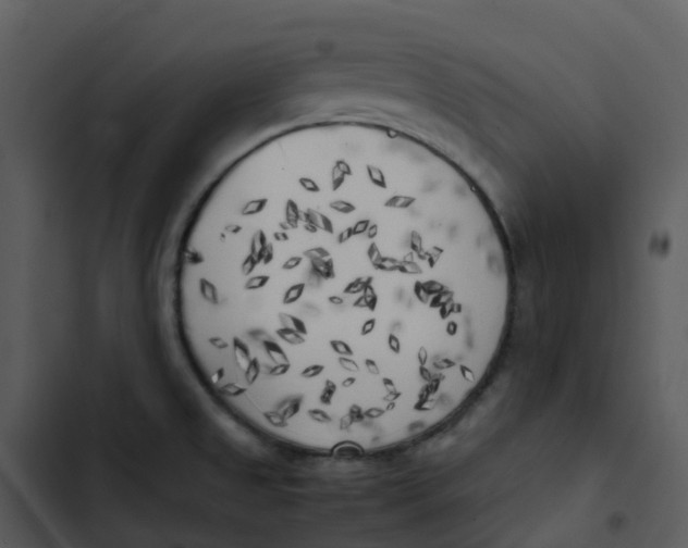 X0000102861525200809081255