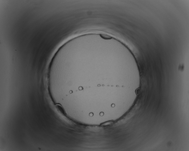 X0000102861526200809081255