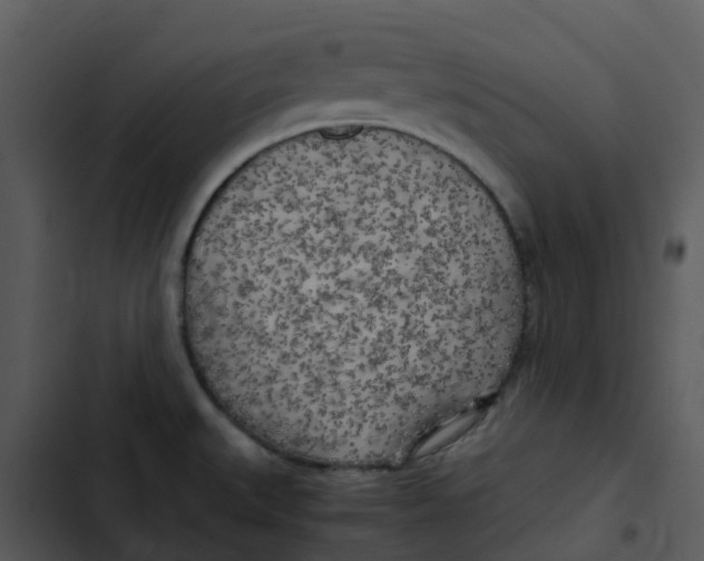 X0000102861527200809081255