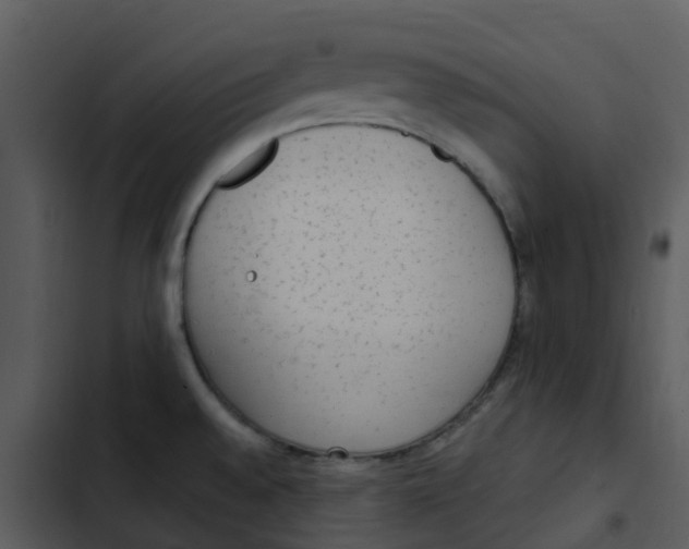 X0000102861528200809081255