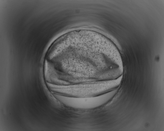 X0000102861530200809081255