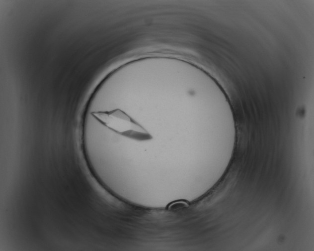 X0000102861531200809081255