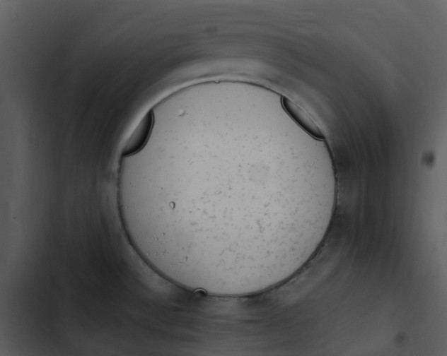 X0000102861532200809081255