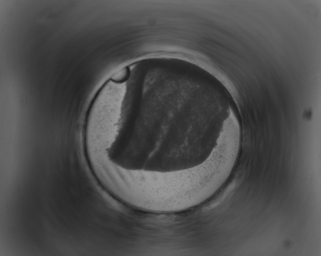 X0000102861533200809081255