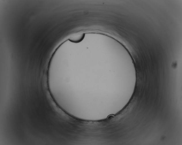 X0000102861534200809081255