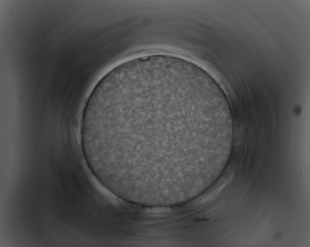 X0000102861535200809081255