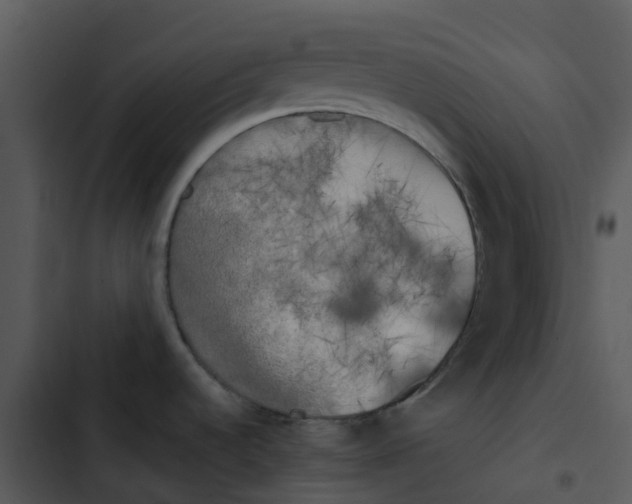 X0000102861536200809081255