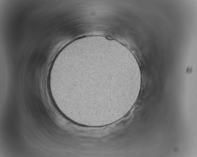 X0000102860001200809151222