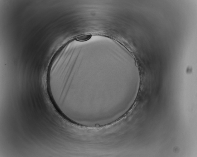 X0000102860002200809151222