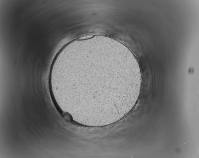 X0000102860003200809151222