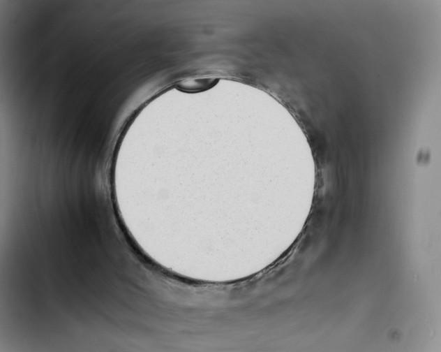 X0000102860004200809151222