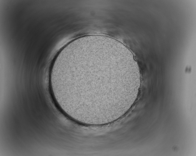 X0000102860005200809151222