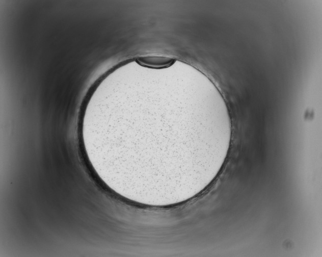 X0000102860008200809151222