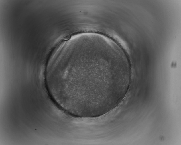 X0000102860009200809151222