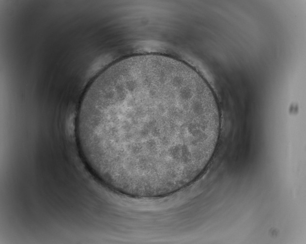 X0000102860010200809151222