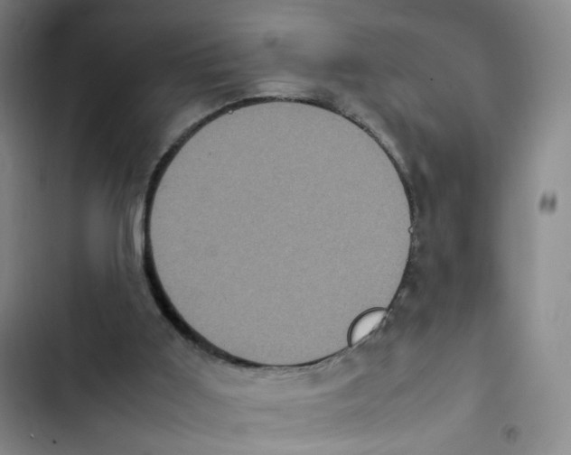 X0000102860011200809151222