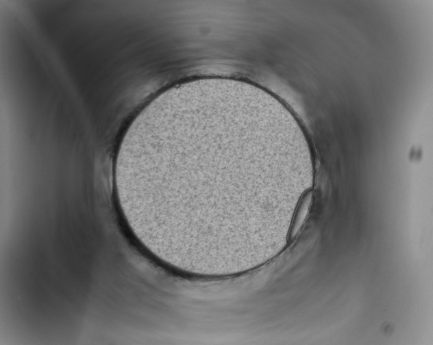 X0000102860013200809151222