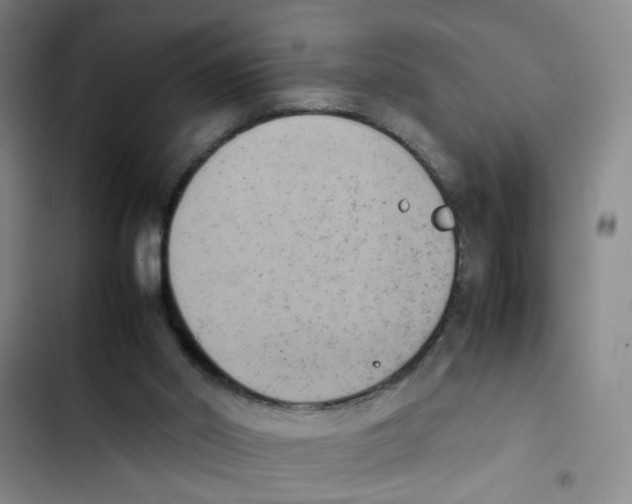X0000102860014200809151222